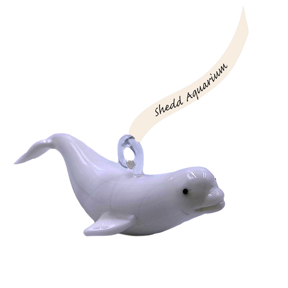 The Shedd Aquarium Beluga Whale Ornament is a white ornament beautifully crafted in the shape of a beluga whale, featuring a hanging loop and a ribbon printed with “Shedd Aquarium”—an ideal keepsake to honor wildlife preservation.