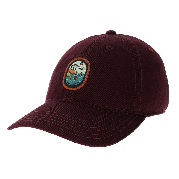 Shedd Aquarium Cap