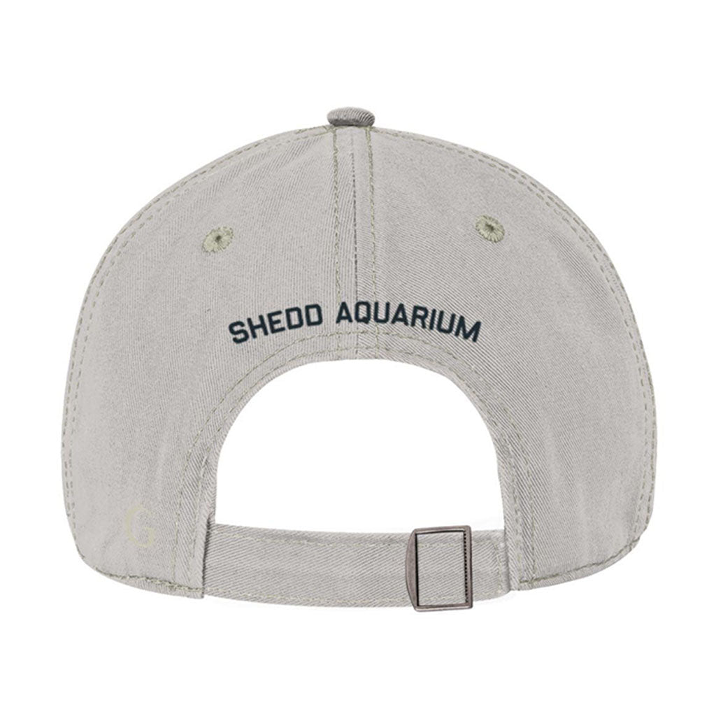 The Shedd Aquarium Beluga Whale Cap is a light gray baseball hat with "Shedd Aquarium" embroidered in black above the adjustable strap and metal buckle—ideal for marine life fans or as a stylish beluga whale accessory.