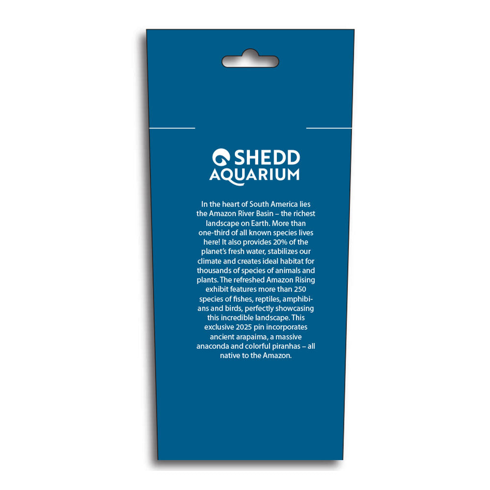 Blue informational display for Shedd Aquarium’s Amazon Rising exhibit, featuring 250+ native species, highlights the exclusive Shedd Aquarium Pin Collection Lanyard Set 2025—perfect to commemorate your visit.