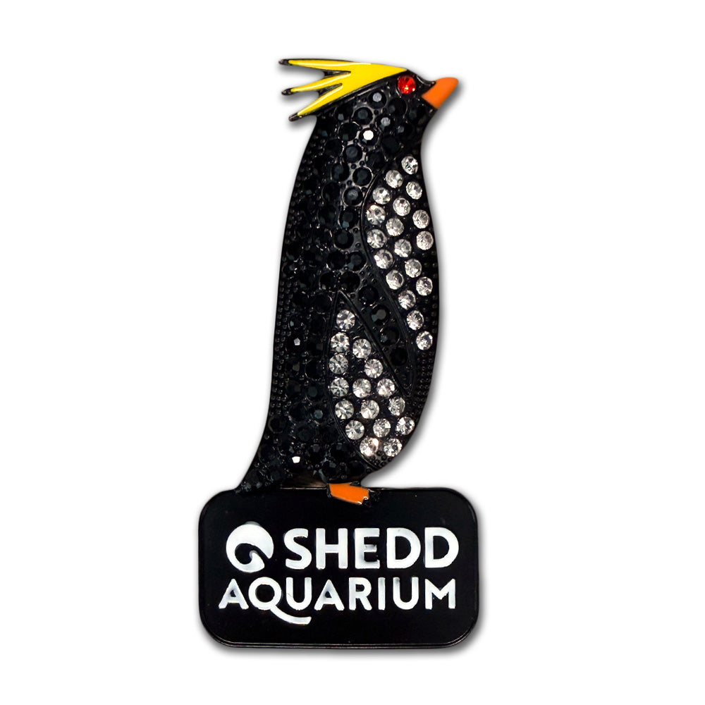 The Shedd Aquarium Rock Hopper Penguin Bling Magnet features a jeweled penguin with yellow feathers and a red eye, standing on a black base labeled "Shedd Aquarium"—a unique keepsake or refrigerator magnet.