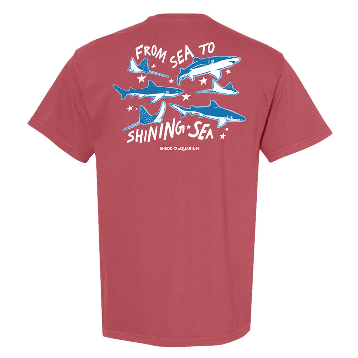 Celebrate America's 250th with the Shedd Aquarium Sea to Shining Sea T-Shirt, featuring four illustrated sharks and patriotic text on the back.