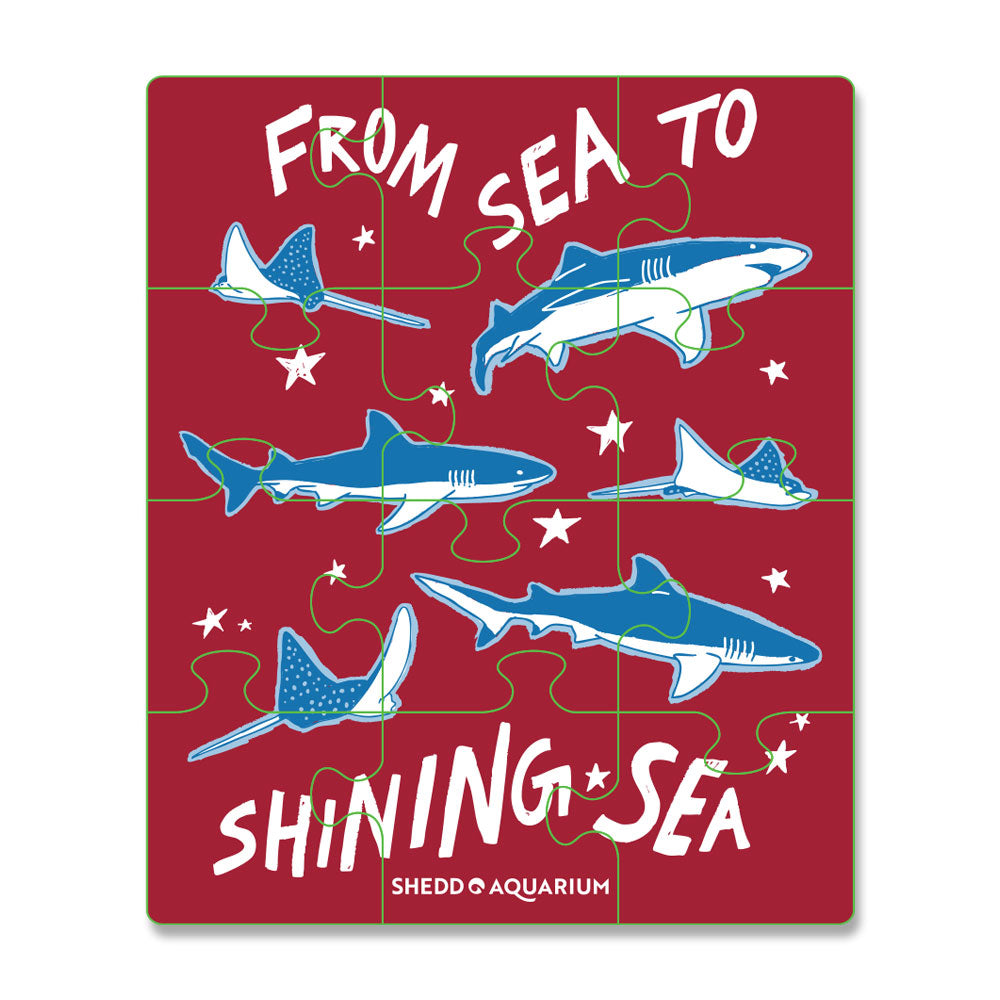 The Shedd Aquarium Red White & Ocean Blue Puzzle Magnet showcases sharks, rays, "FROM SEA TO SHINING SEA" text, and the Shedd Aquarium logo—making it a patriotic keepsake for any collection.