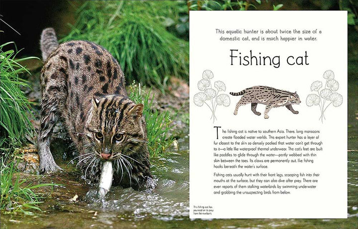 An Anthology of Aquatic Life