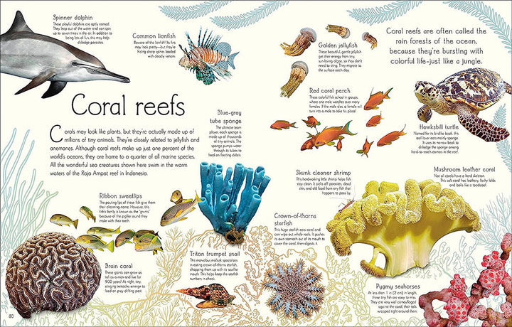 An Anthology of Aquatic Life