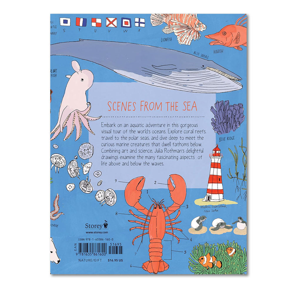 The back cover of the Ocean Anatomy Book features Julia Rothman’s colorful illustrations of sea animals, a lighthouse, coral, and nautical flags, plus an Ocean Anatomy-themed description in the center with a barcode at the bottom.