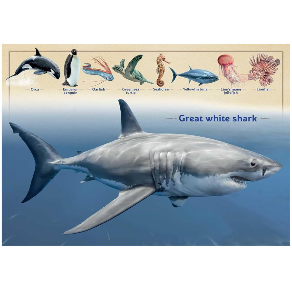 An illustration from The Magnificent Book of Ocean Creatures features a great white shark underwater, with orca, emperor penguin, oarfish, green sea turtle, seahorse, yellowfin tuna, lion’s mane jellyfish, and lionfish above.