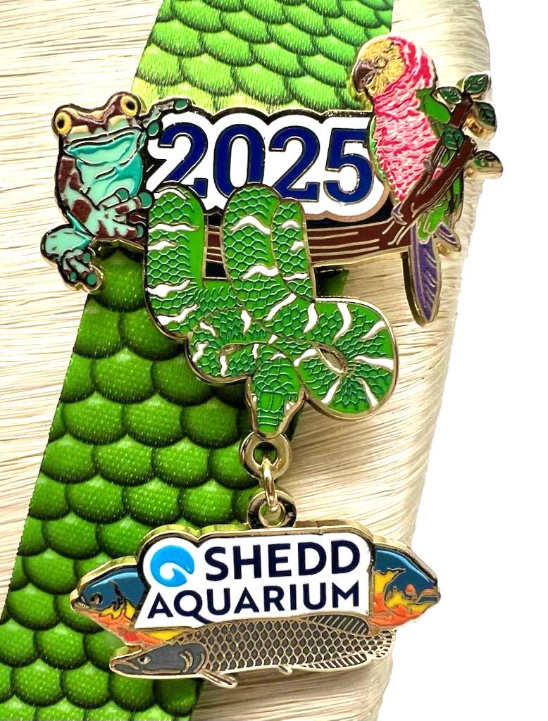 Shedd Aquarium Pin Collection Lanyard Set 2025