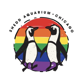 Pride Penguin Vinyl Sticker